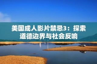 美国成人影片禁忌3：探索道德边界与社会反响