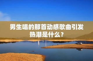 男生唱的那首动感歌曲引发热潮是什么？