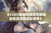 《CSGO暴躁阿姨搞笑瞬间全程高清国语配音集》