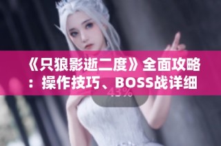 《只狼影逝二度》全面攻略：操作技巧、BOSS战详细解析与技能推荐