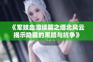 《军妓血泪续篇之缅北风云揭示隐藏的黑暗与抗争》