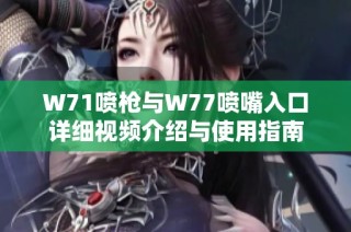 W71喷枪与W77喷嘴入口详细视频介绍与使用指南