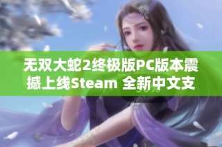 无双大蛇2终极版PC版本震撼上线Steam 全新中文支持引发玩家热烈期待