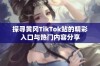 探寻黄冈TikTok站的精彩入口与热门内容分享