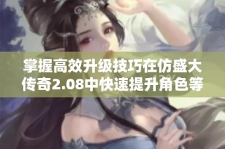 掌握高效升级技巧在仿盛大传奇2.08中快速提升角色等级的方法解析
