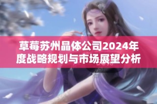 草莓苏州晶体公司2024年度战略规划与市场展望分析