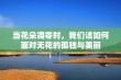 当花朵凋零时，我们该如何面对无花的孤独与美丽