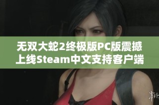 无双大蛇2终极版PC版震撼上线Steam中文支持客户端