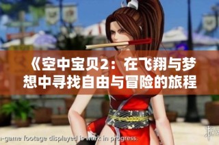 《空中宝贝2：在飞翔与梦想中寻找自由与冒险的旅程》