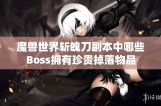 魔兽世界斩魄刀副本中哪些Boss拥有珍贵掉落物品