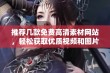 推荐几款免费高清素材网站，轻松获取优质视频和图片资源