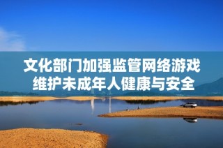 文化部门加强监管网络游戏 维护未成年人健康与安全成长