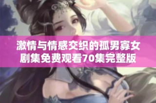 激情与情感交织的孤男寡女剧集免费观看70集完整版