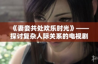 《妻妾共处欢乐时光》——探讨复杂人际关系的电视剧免费观看