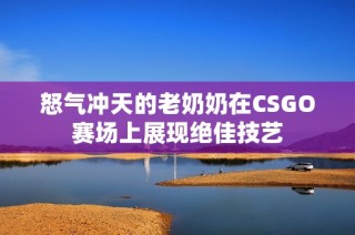 怒气冲天的老奶奶在CSGO赛场上展现绝佳技艺