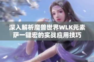 深入解析魔兽世界WLK元素萨一键宏的实战应用技巧