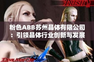 粉色ABB苏州晶体有限公司：引领晶体行业创新与发展新纪元