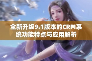 全新升级9.1版本的CRM系统功能特点与应用解析