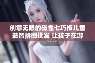 创意无限的磁性七巧板儿童益智拼图批发 让孩子在游戏中培养思维能力与创造力