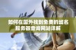 如何在国外找到免费的域名服务器查询网站详解