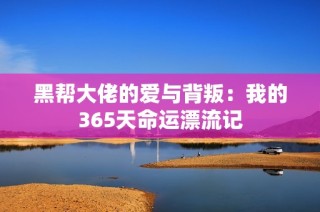 黑帮大佬的爱与背叛：我的365天命运漂流记