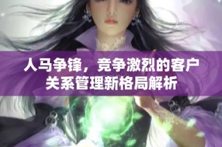 人马争锋，竞争激烈的客户关系管理新格局解析