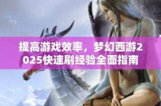 提高游戏效率，梦幻西游2025快速刷经验全面指南