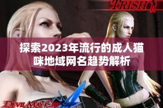 探索2023年流行的成人猫咪地域网名趋势解析