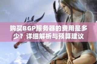 购买BGP服务器的费用是多少？详细解析与预算建议