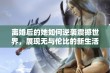 离婚后的她如何逆袭震撼世界，展现无与伦比的新生活