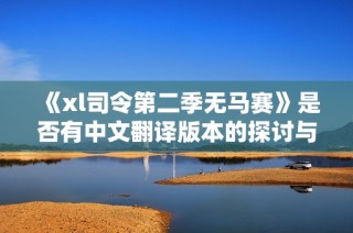 《xl司令第二季无马赛》是否有中文翻译版本的探讨与分析