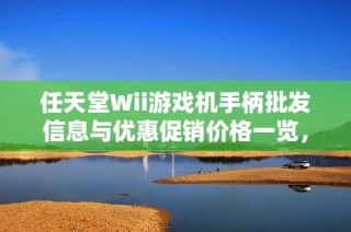 任天堂Wii游戏机手柄批发信息与优惠促销价格一览，助您轻松购买最佳游戏手柄