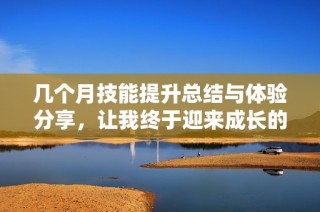 几个月技能提升总结与体验分享，让我终于迎来成长的里程碑