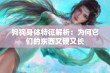 狗狗身体特征解析：为何它们的东西又硬又长