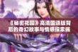 《秘密花园》高清国语版背后的奇幻故事与情感探索揭秘