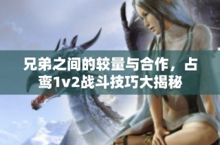 兄弟之间的较量与合作，占鸾1v2战斗技巧大揭秘