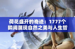 荷花盛开的奇迹：1777个瞬间展现自然之美与人生哲理