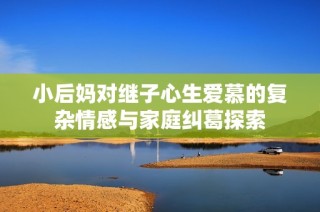 小后妈对继子心生爱慕的复杂情感与家庭纠葛探索