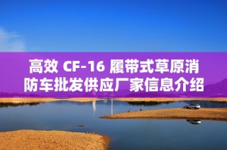 高效 CF-16 履带式草原消防车批发供应厂家信息介绍