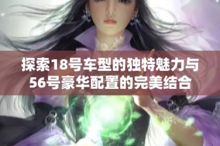 探索18号车型的独特魅力与56号豪华配置的完美结合