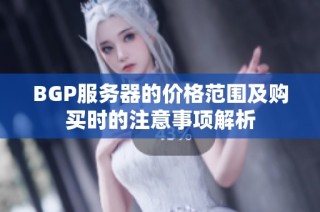 BGP服务器的价格范围及购买时的注意事项解析