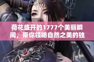 荷花盛开的1777个美丽瞬间，带你领略自然之美的独特魅力