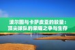 波尔图与卡萨皮亚的较量：顶尖球队的荣耀之争与生存挑战