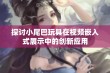 探讨小尾巴玩具在视频嵌入式展示中的创新应用