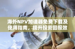 海外NPV加速器免费下载及使用指南，提升投资回报效率