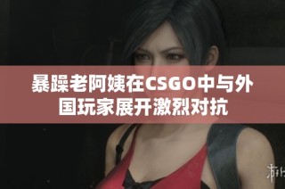 暴躁老阿姨在CSGO中与外国玩家展开激烈对抗