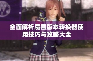 全面解析魔兽版本转换器使用技巧与攻略大全