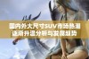 国内外大尺寸SUV市场热潮逐渐升温分析与发展趋势