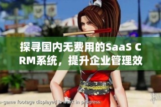 探寻国内无费用的SaaS CRM系统，提升企业管理效率