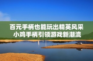 百元手柄也能玩出精英风采 小鸡手柄引领游戏新潮流